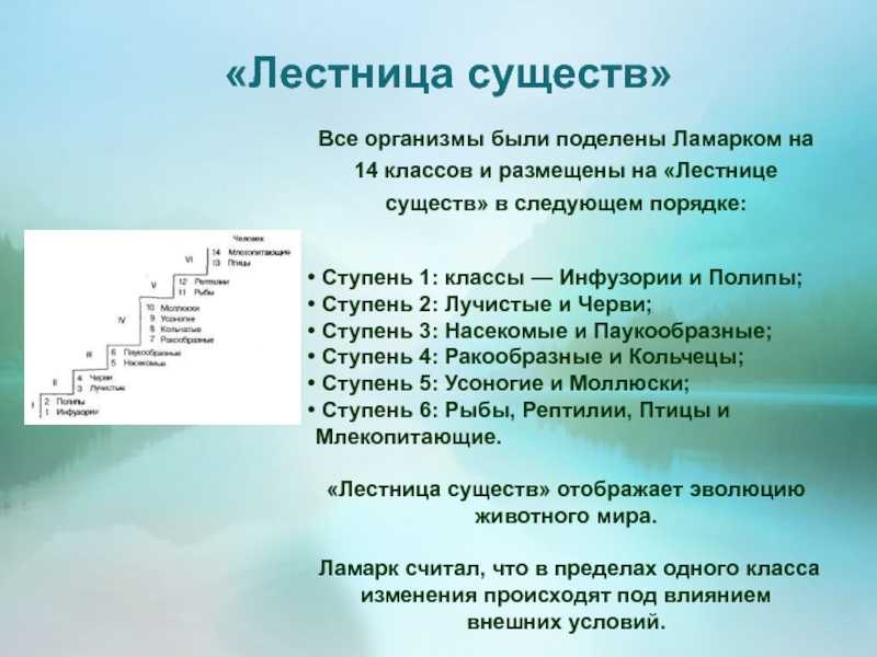 Биология 9 глава 7 возникновение и развитие жизни