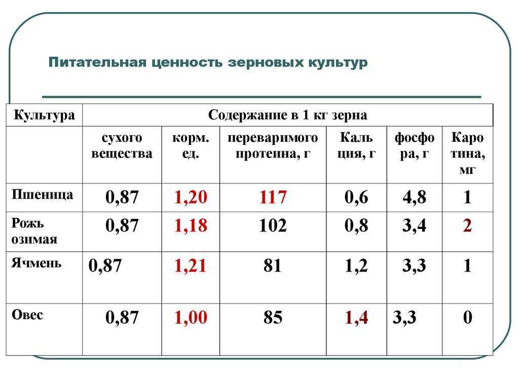 Клейковина пшеницы (идк): что это, классы зерна, глютен