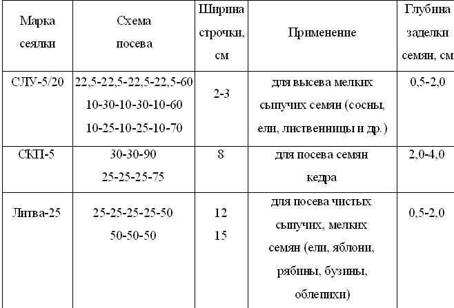 Агротехника выращивания посадочного материала и лесных культур сосны обыкновенной в уфимском лесничестве