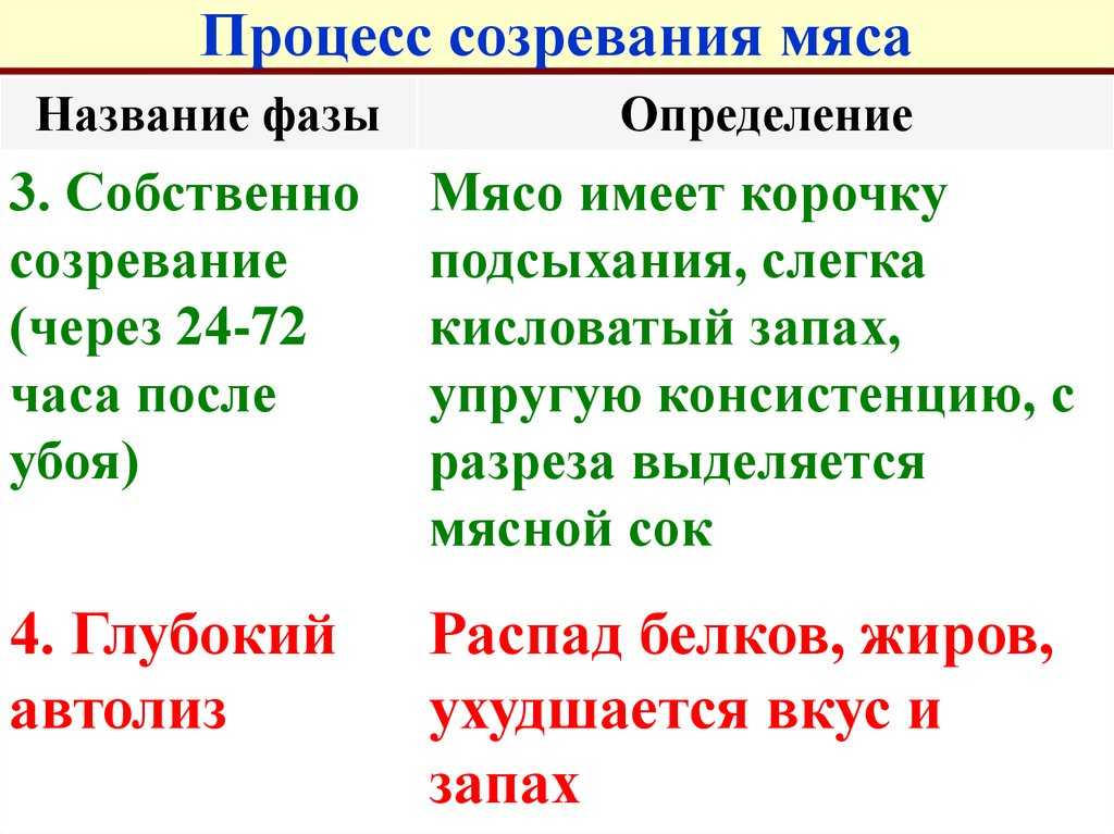 Послеубойные изменения мяса животных, определение его качества, созревание мяса, загар, закисание и гниение.