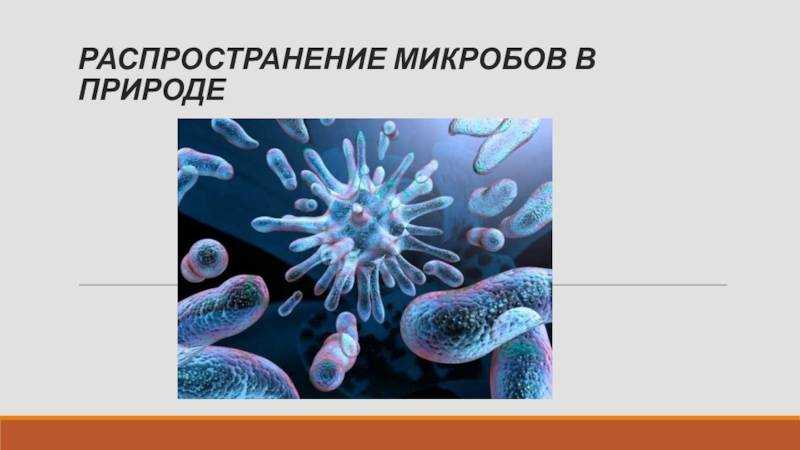 Распространение микробов в природе - микробиология с техникой микробиологических исследований
