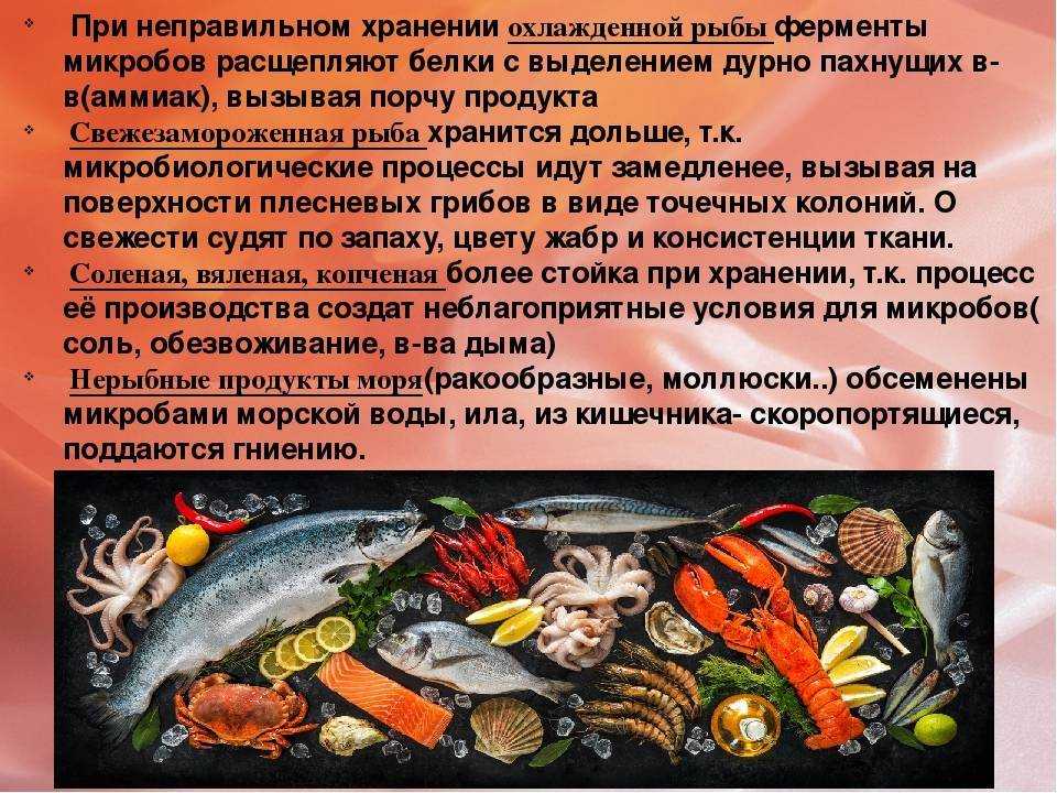 Гниение мяса » строительный портал: новости, статьи, обзоры