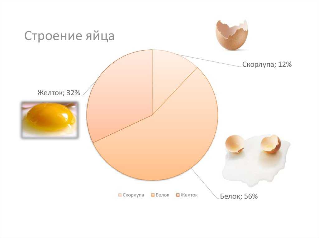 Яйцо куриное — химический состав, пищевая ценность