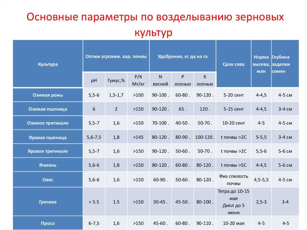 Посев яровой пшеницы