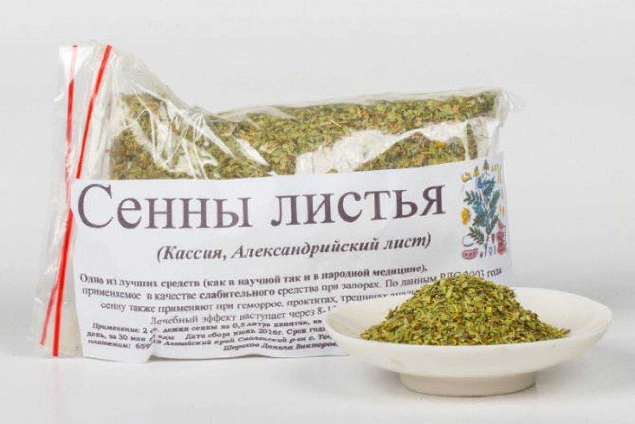 Кассия фото растения, уход в домашних условиях, выращивание, описание