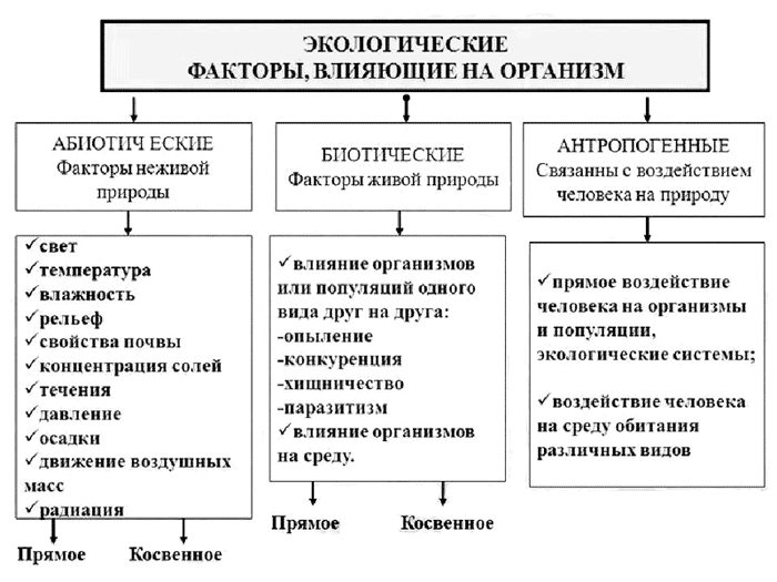 Экология растений