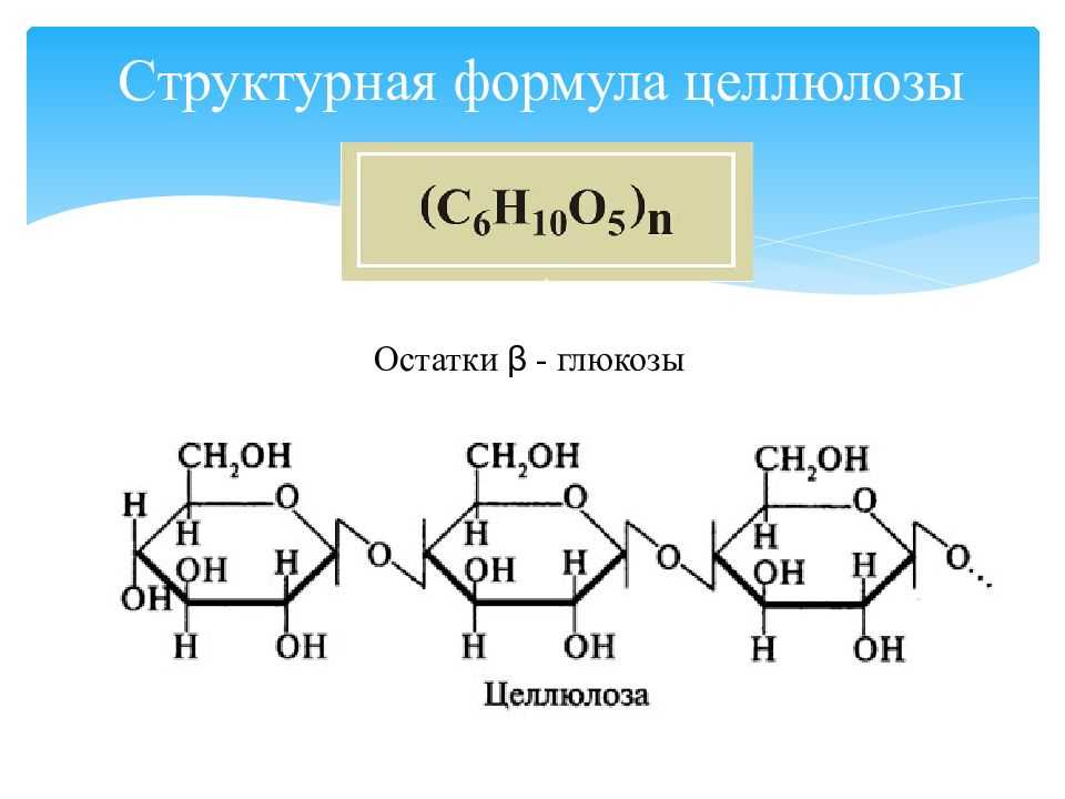 § 44. целлюлоза