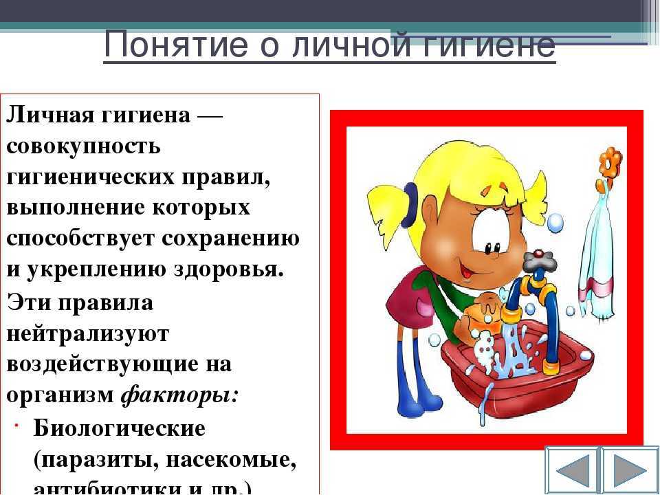 Содержание быков производителей