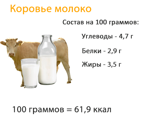Все про молочные продукты и их виды - статьи и рецепты