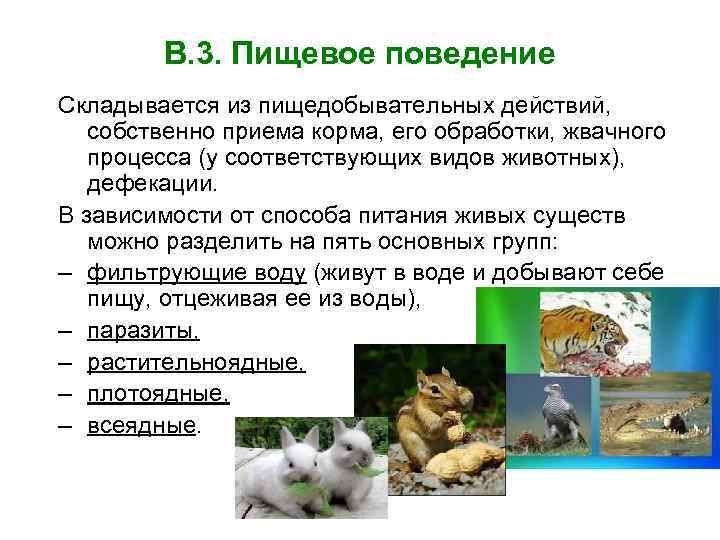 Разведение