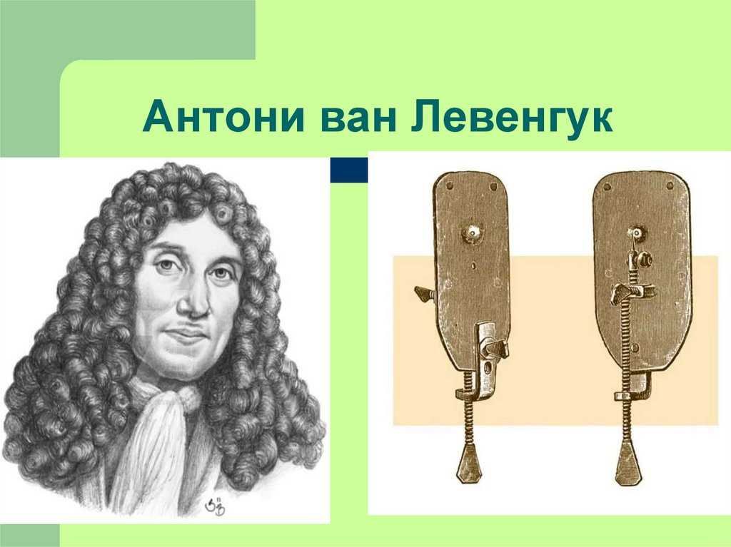 История развития микробиологии. антони ван левенгук