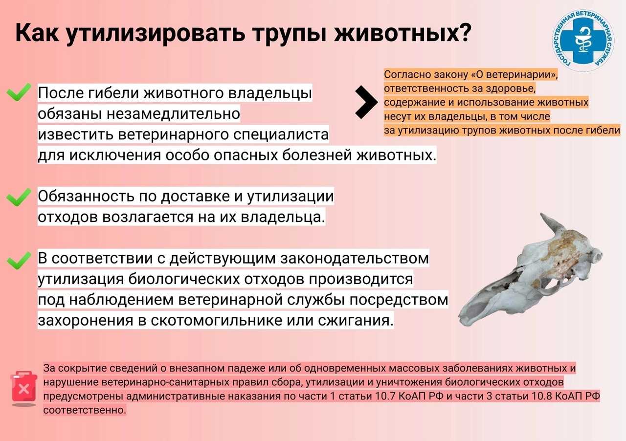 Болезни крупного
 рогатого скота