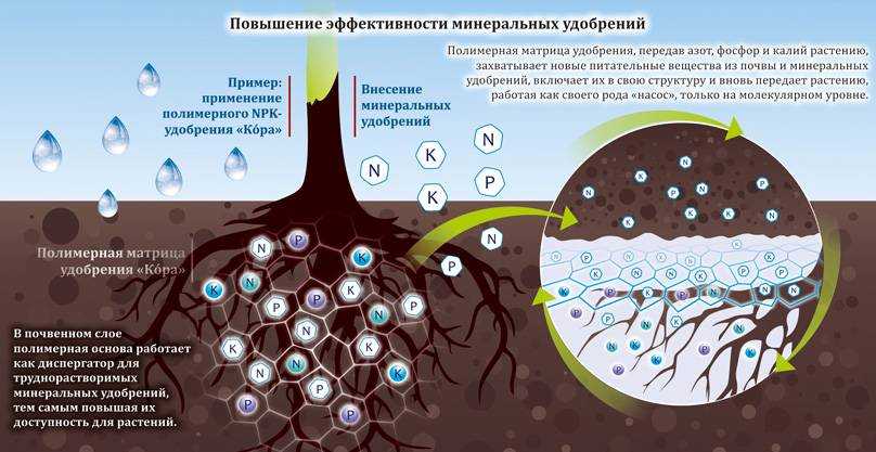Почва