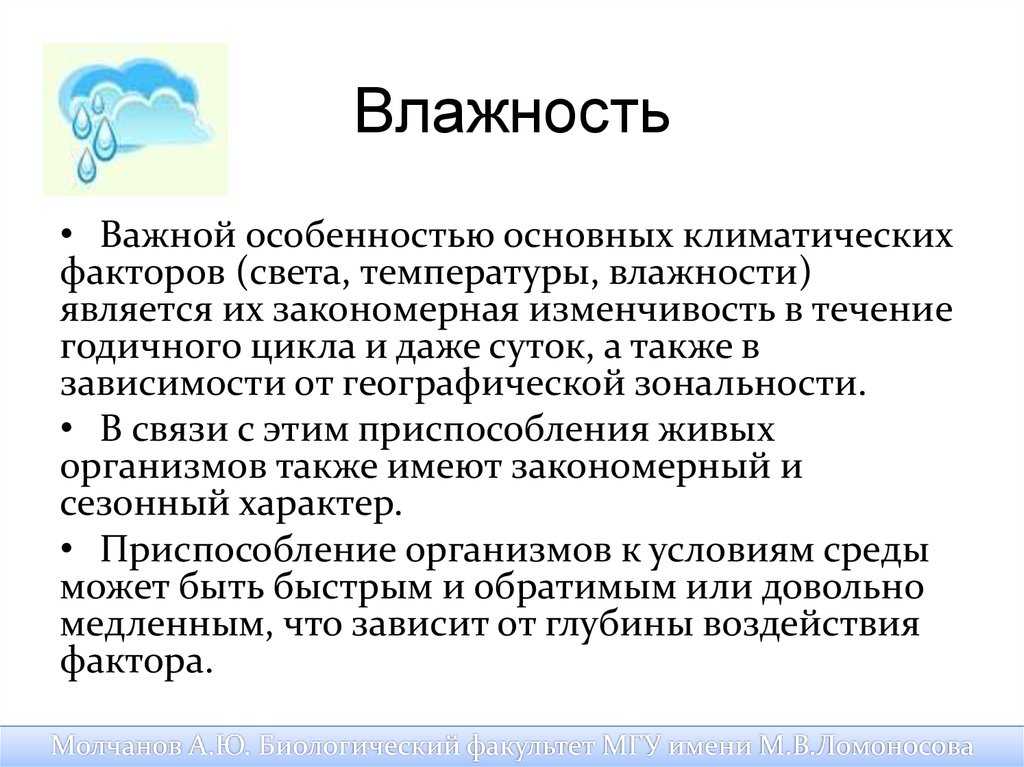 Свет, температура и влажность, как экологические факторы. контрольная работа. экология. 2010-07-22