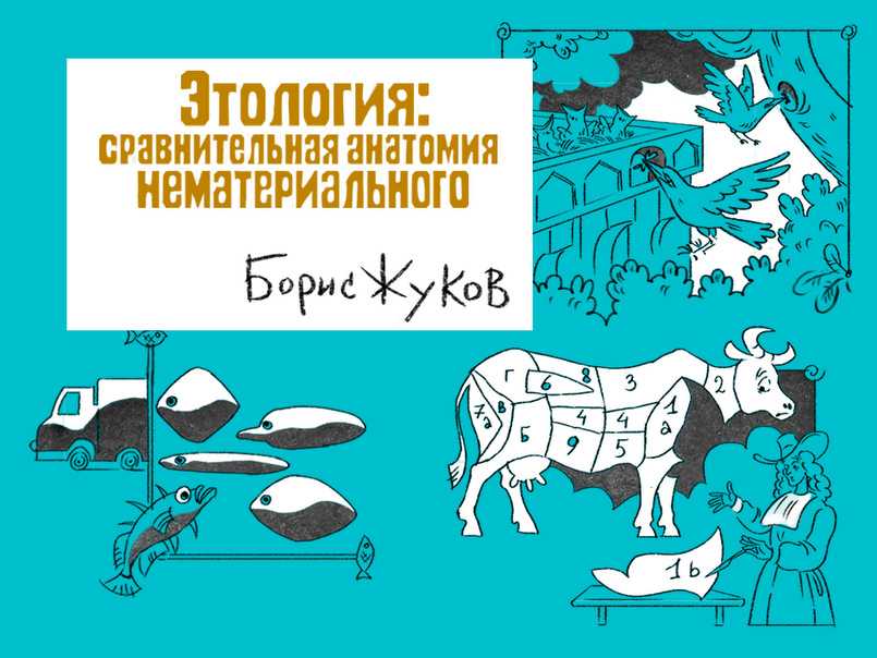 Локомоция животных