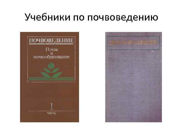 Почвенные горизонты и их характеристики / география | thpanorama - сделайте себя лучше уже сегодня!