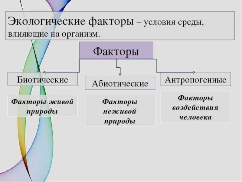 Экологические факторы