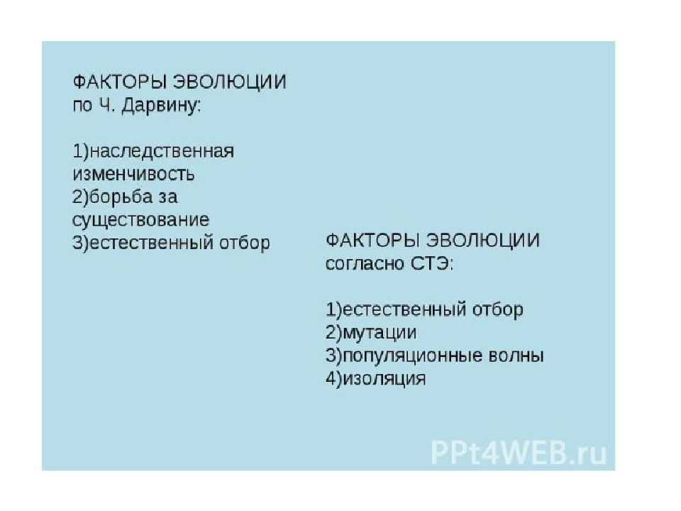 Теория эволюции чарьза дарвина: естественный отбор