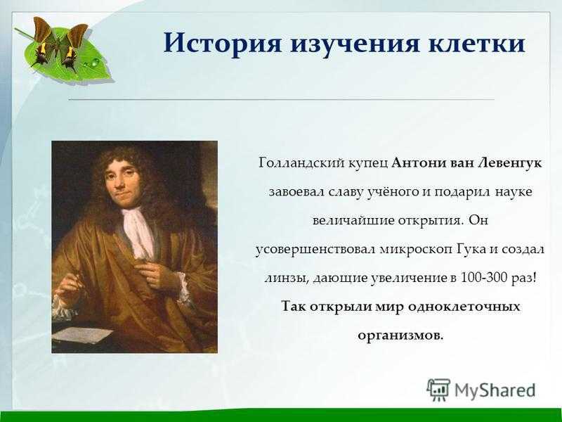 История создания клеточной теории таблица. история и методы изучения клетки клеточная теория