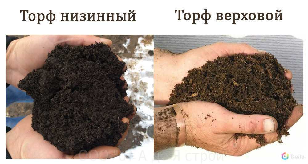 Торф • большая российская энциклопедия - электронная версия