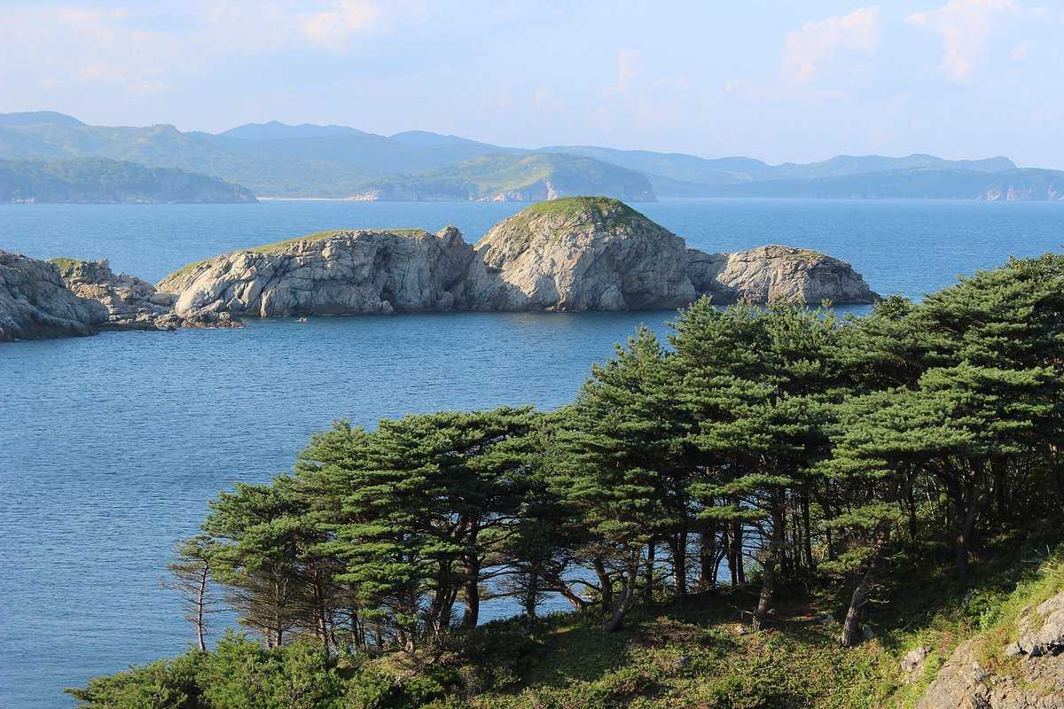 Что охраняется в дальневосточном заповеднике?