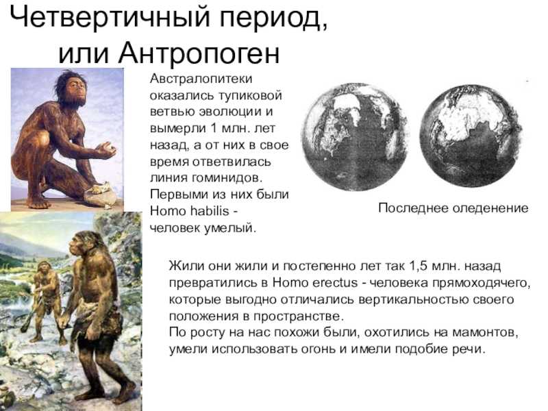 Антропоген четвертичный период в геологии и археологии