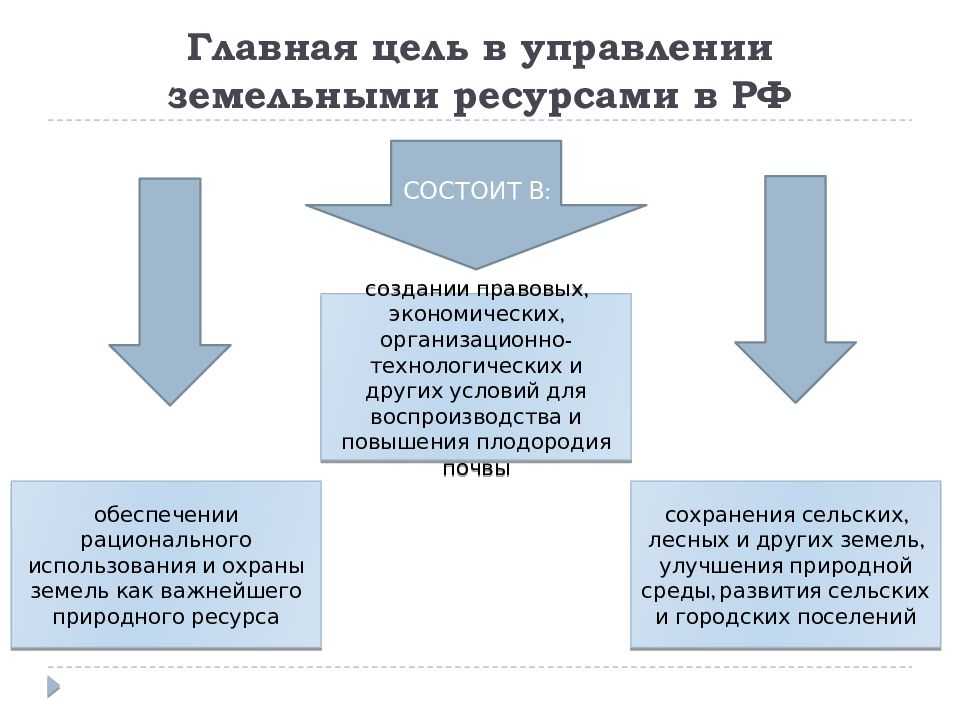 Земельные ресурсы: что это такое, управление, оценка