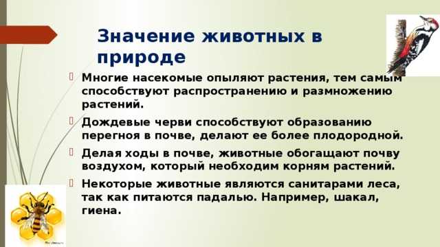Разделение животных на вредных и полезных: миф или реальность в природе?