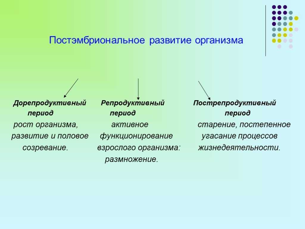 Глава 14. детерминация и дифференциация пола. «генетика человека с основами общей генетики. учебное пособие» | курчанов николай анатольевич