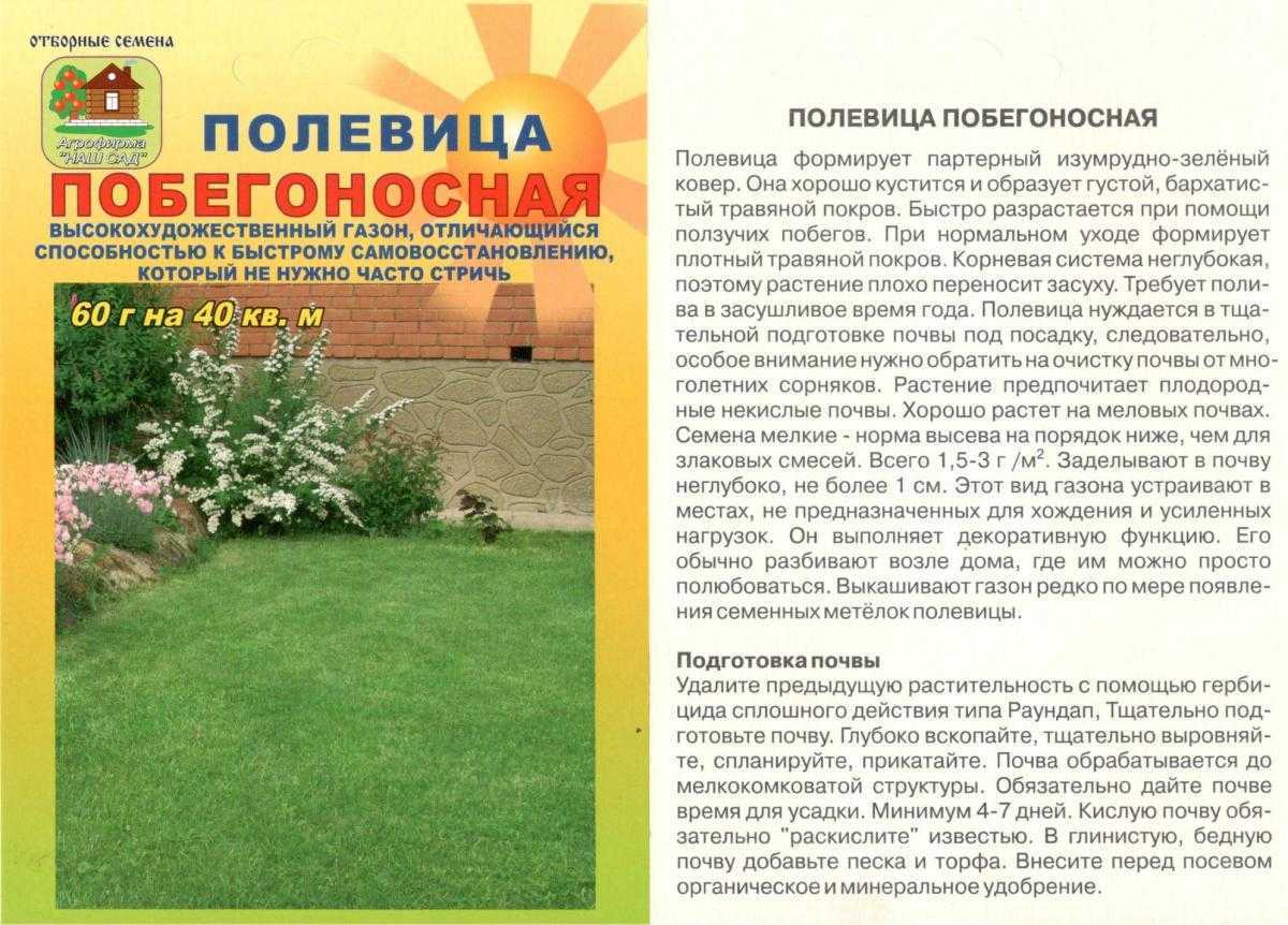 Полевица белая: нежное очарование луговых трав | огородники