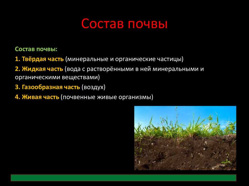 Почва