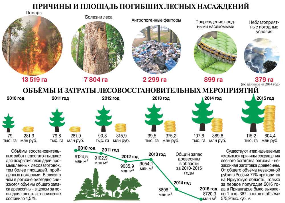 Анализ лесокультурного производства уральского учебно-опытного лесхоза уральского государственного лесотехнического университета | статья в журнале «молодой ученый»