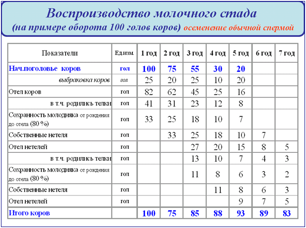 Современные методы и практика воспроизводства стада крс