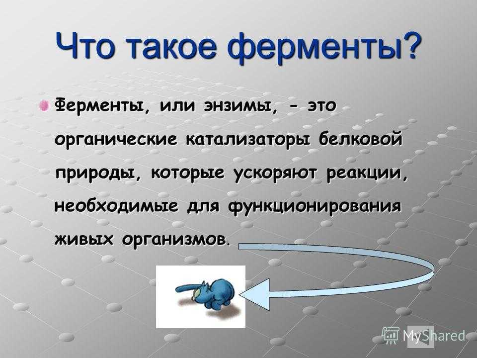 Механизм действия ферментов. биологическая химия