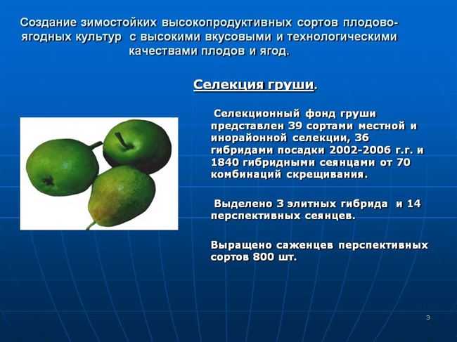 ᐉ агротехнические особенности сортов - селекция и сортоведение - roza-zanoza.ru