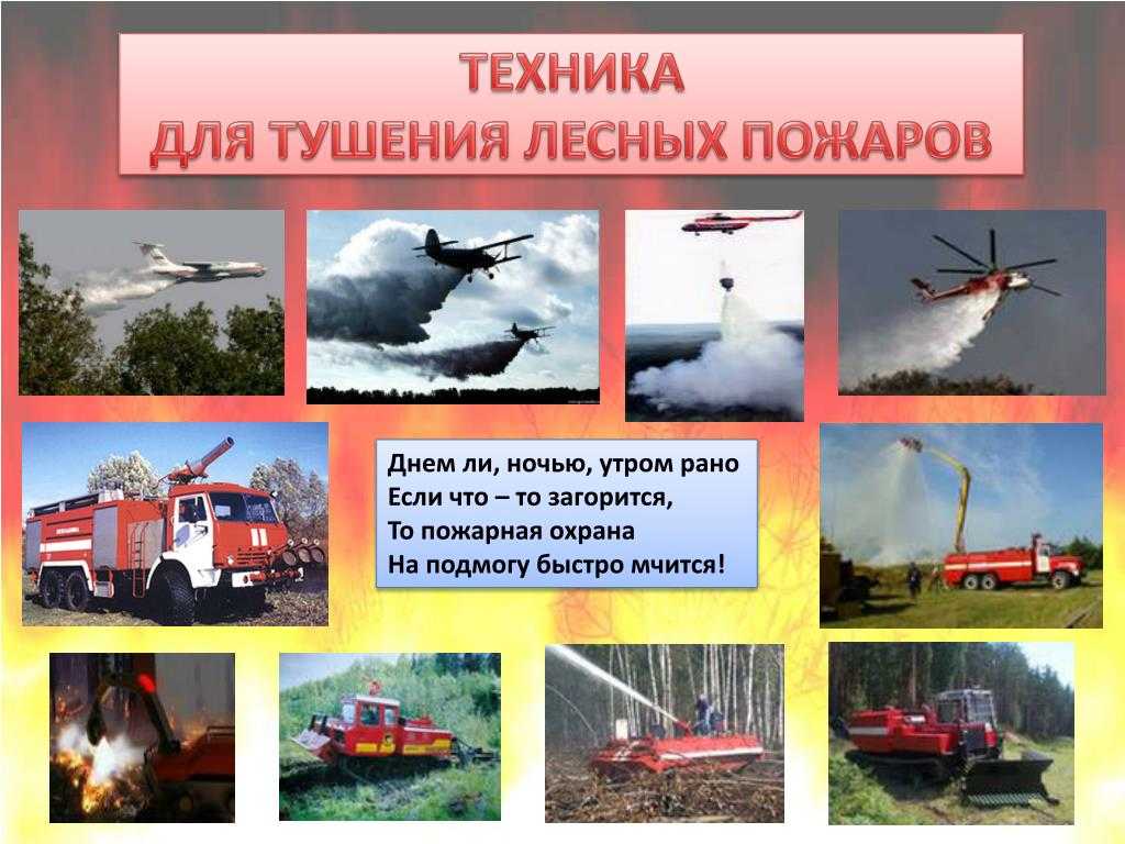 Основы тушения лесных пожаров ⋆ propozhar