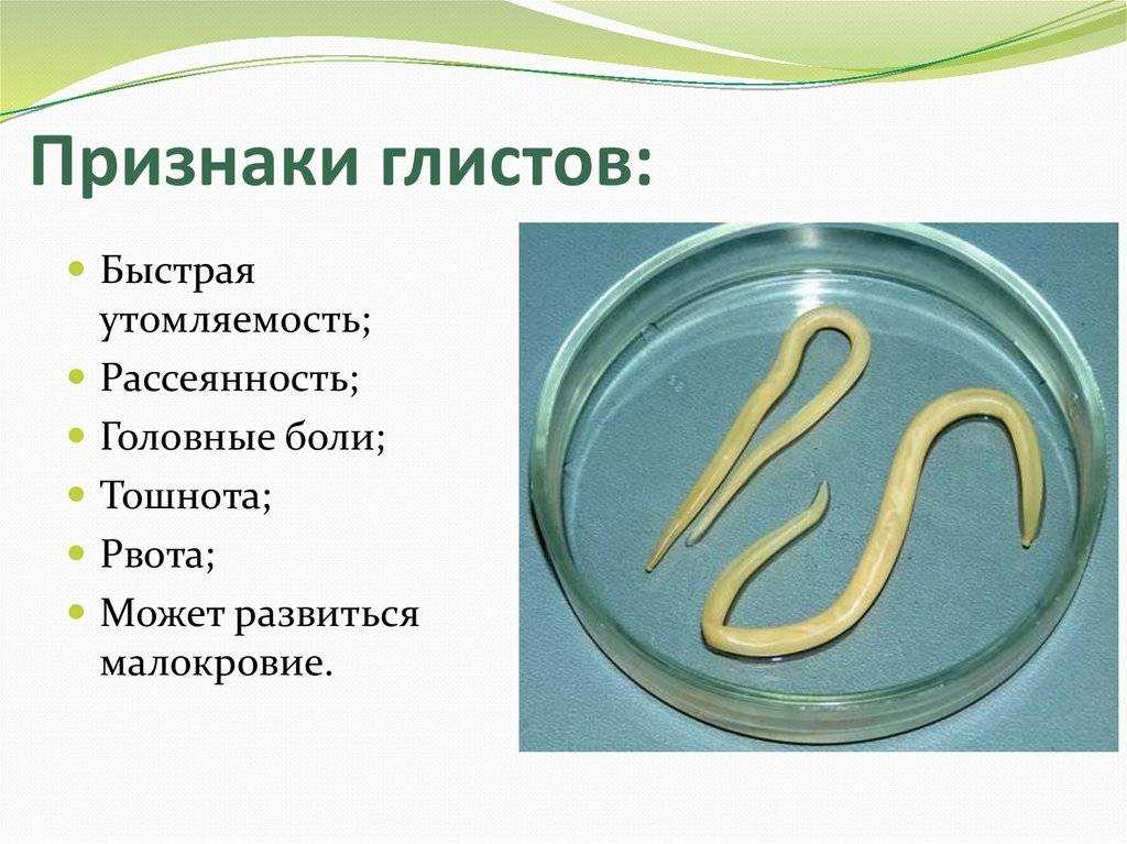 Распространённые нематодозы птиц - садоводство для начинающих
