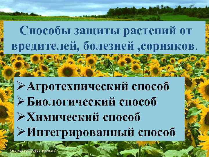 Защита сельскохозяйственных растений от вредителей и болезней. технология 5 класс