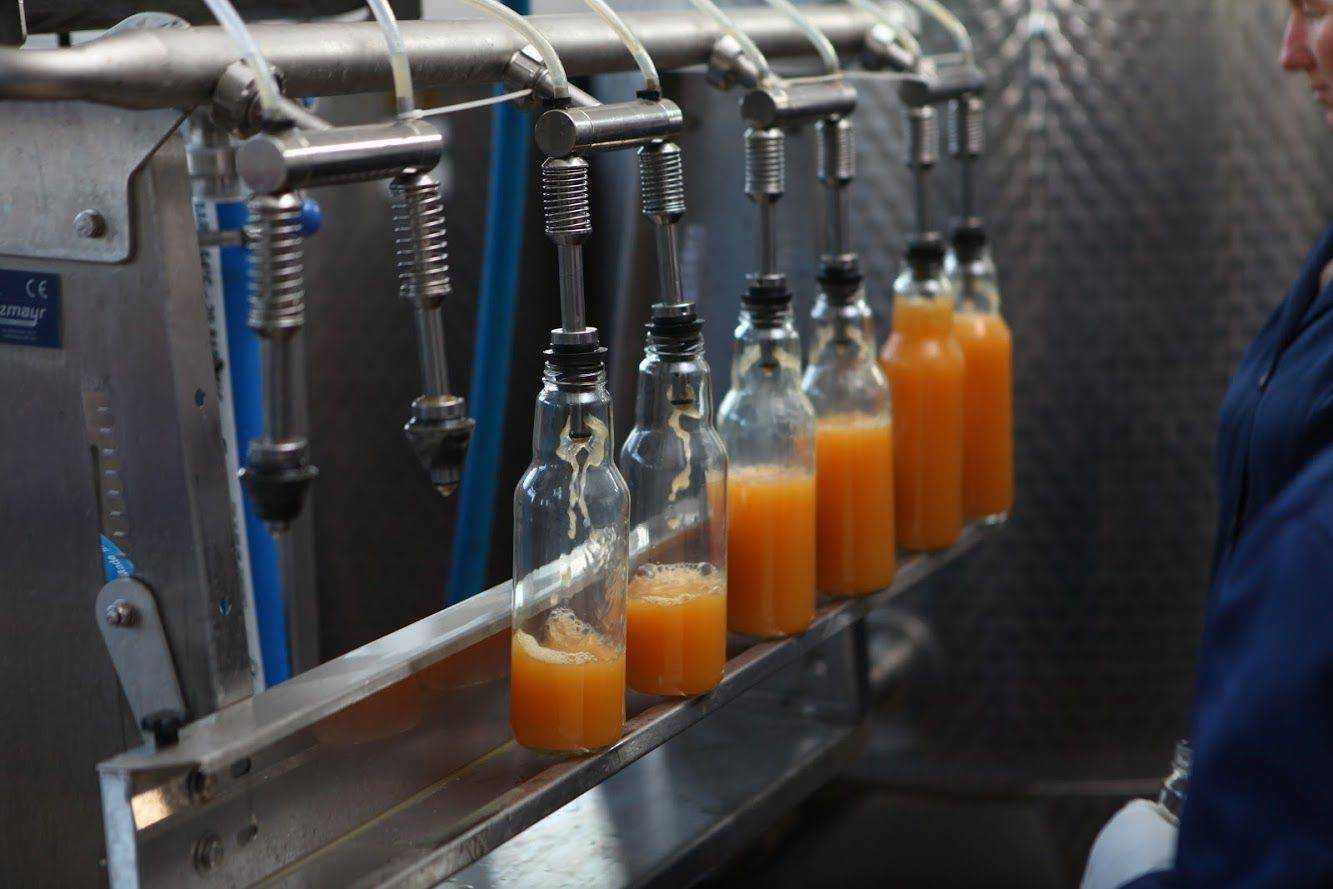 Производство соков и сокового концентрата: оборудование и технология