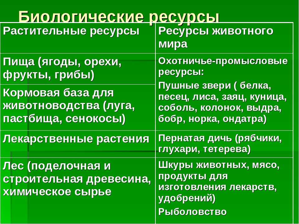 Растительные ресурсы • большая российская энциклопедия - электронная версия