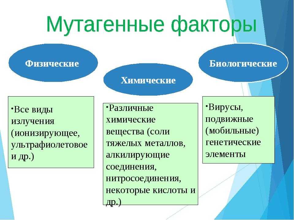 Мутагенез - виды и способы