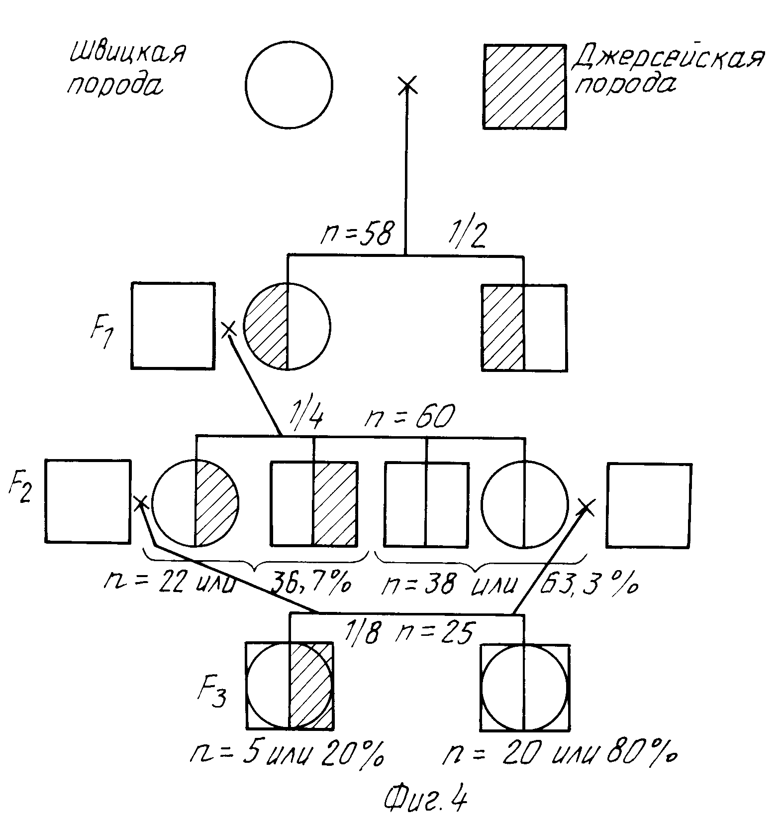 Разведение кроликов. контрольная работа. сельское хозяйство. 2017-01-02