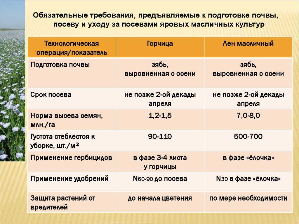 Технология возделывания льна масличного - агрофолио