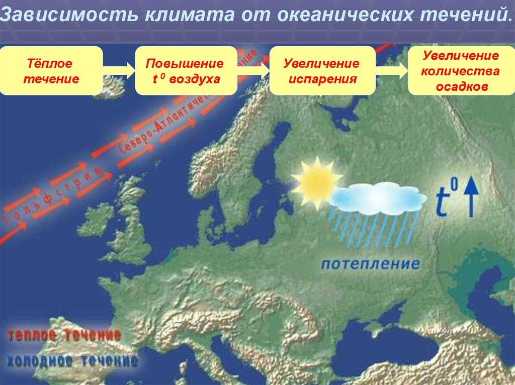 Точное количество океанов на планете и их названия