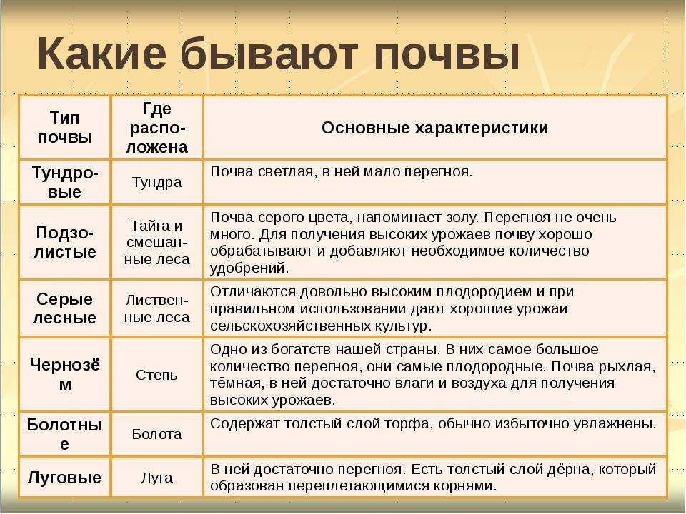 Реферат факторы почвообразования