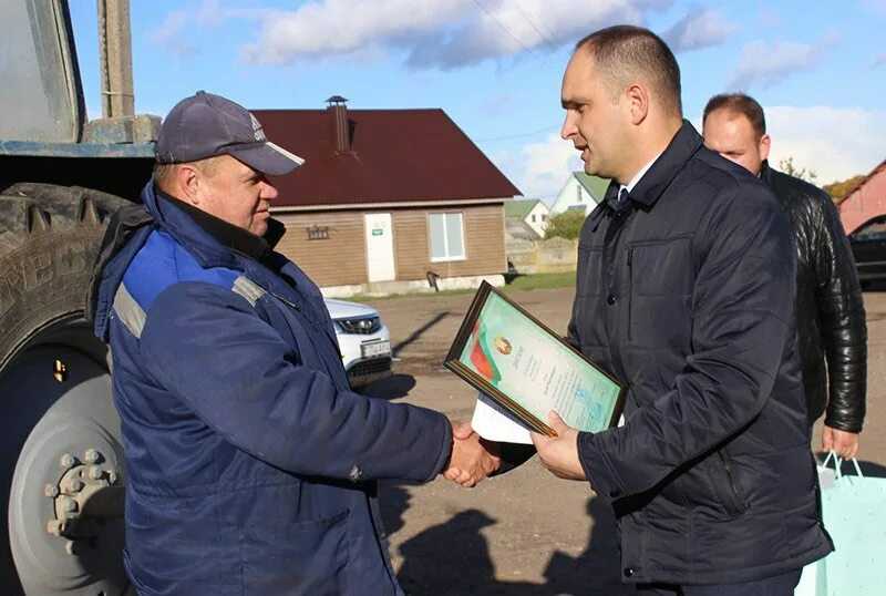 Кормление коров | кукурузная паста