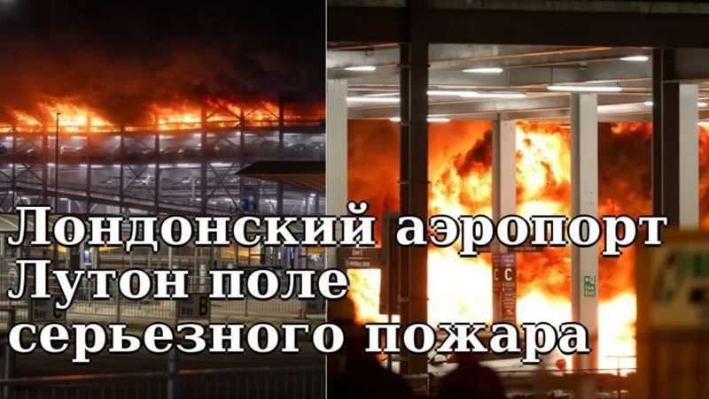 Как лесные пожары влияют на окружающую среду?