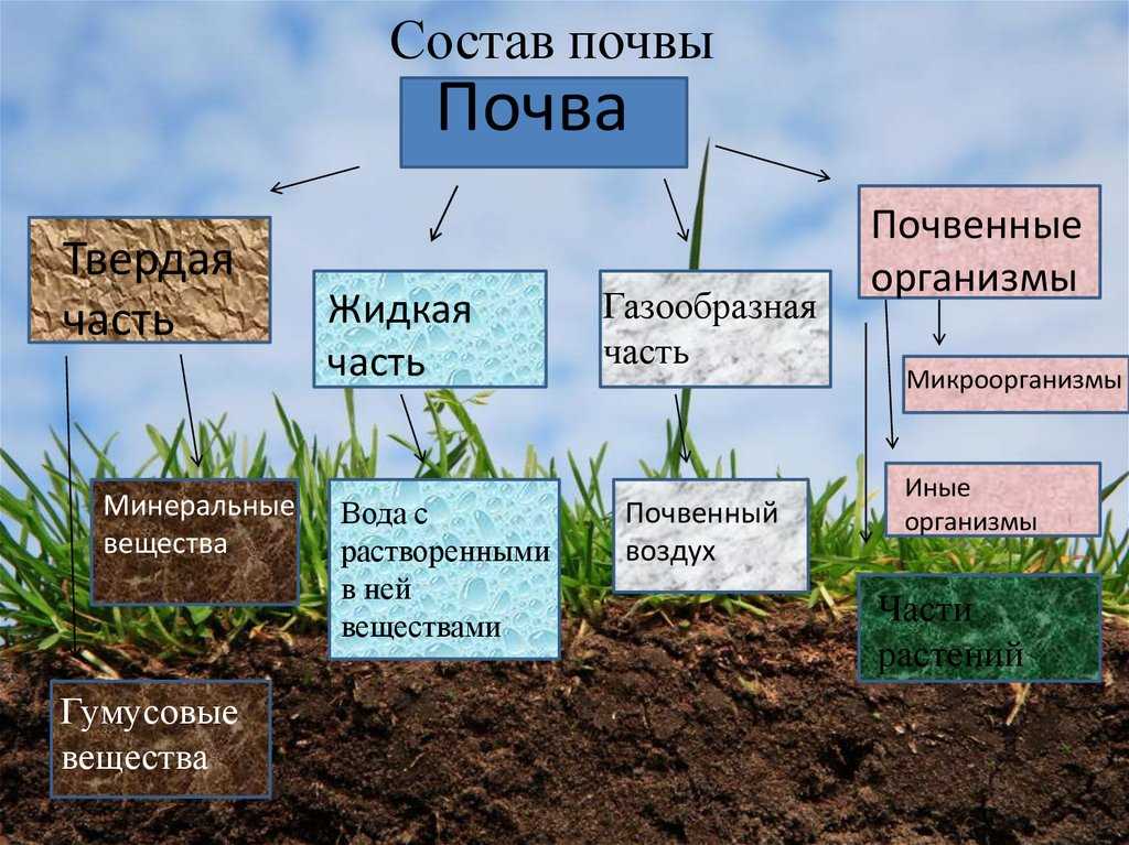 Агропочвоведение