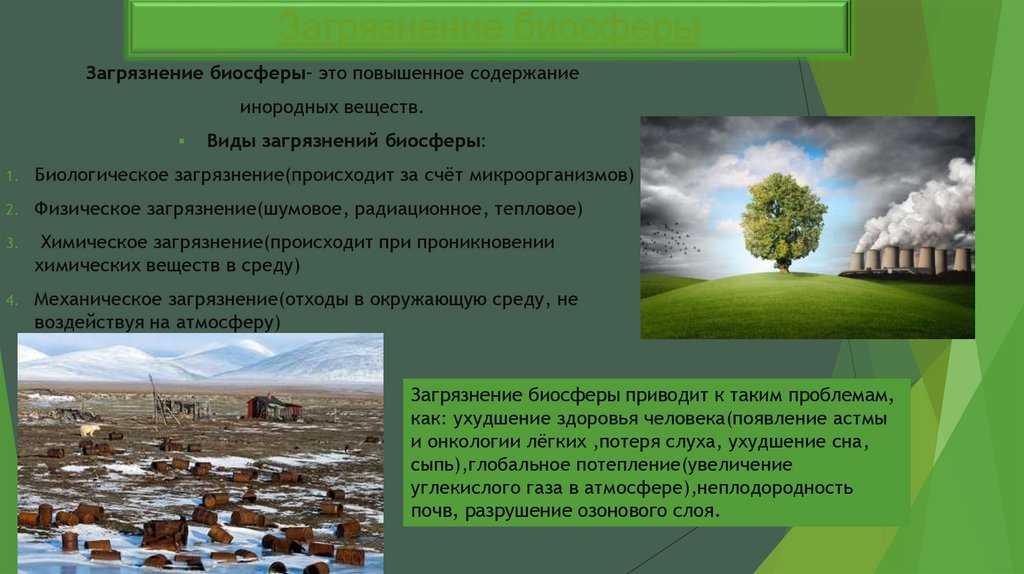 Загрязнение окружающей среды токсикантами и количественные критерии
оценки его фактического уровня. загрязнение окружающей среды.