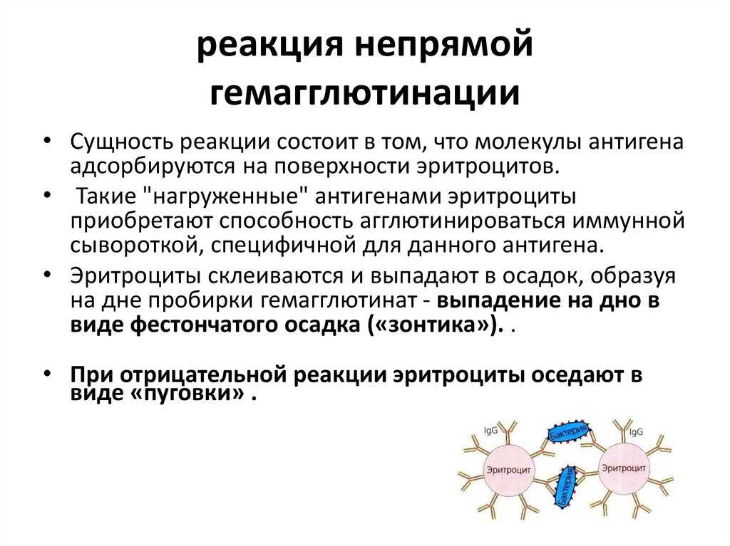 Анализ крови рпга: как расшифровывается, назначение и подготовка к анализу